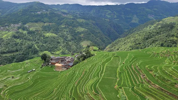 Dongpeng Terraces