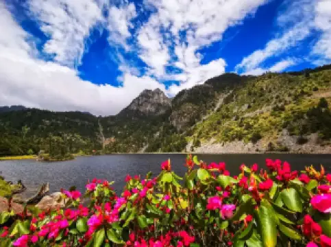 ภูเขาคราฟ