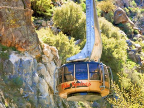 Direct flight from Palmdale to Palm Springs tickets