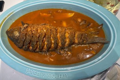 AWU YELLOW RIVER COMMON CARP