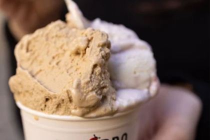 Edoardo il gelato biologico