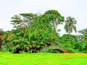 Botanical Gardens