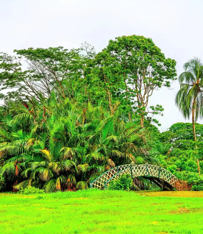 จอร์จทาวน์