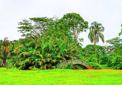 Botanical Gardens