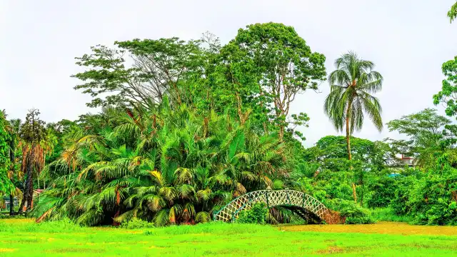 Hotels near Guyana Botanical Gardens
