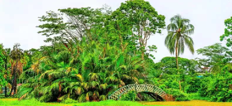 فنادق في جورج تاون