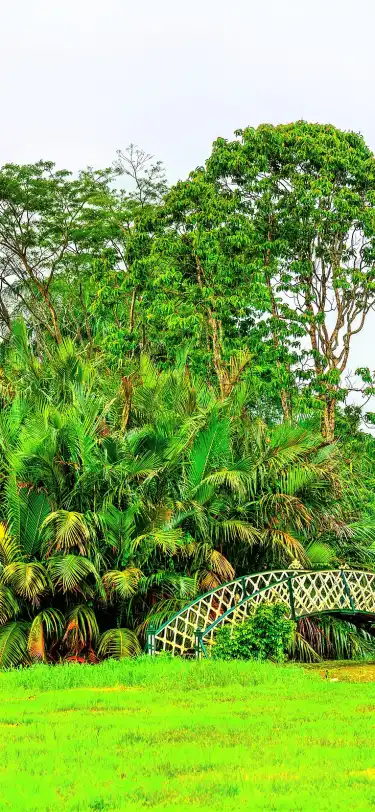 فنادق في جورج تاون