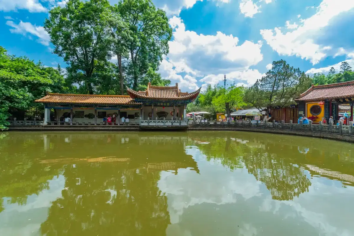 Black Dragon Pool Park