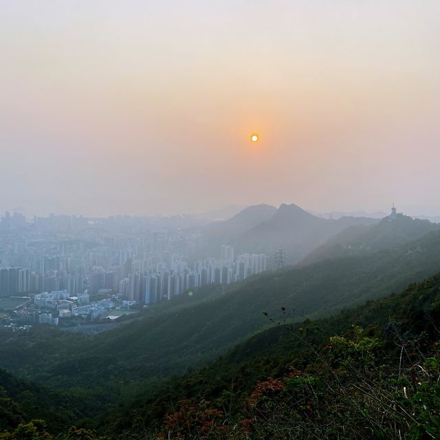 簡單行山路線 I #飛鵝山觀景台 I 最佳香港 日落美景 
