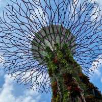 The GARDEN BY THE BAY