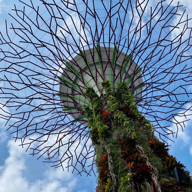 The GARDEN BY THE BAY