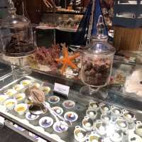 唔太特別既文華東方酒店快船廊自助晚餐