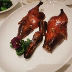 JIN YUE XUAN User Photo