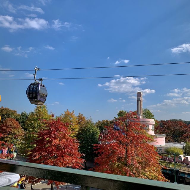용인 [에버랜드]