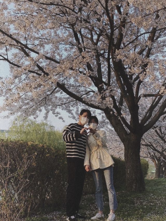 꽃놀이는 안산 호수공원
