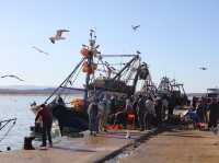 Essaouira blues 