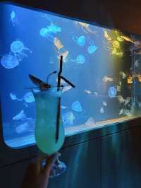 🏙沉醉海洋·打卡水母酒吧🍹