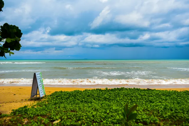 Top 6 Things to Do in Santa Barbara, California: Strolling the American Riviera 2020