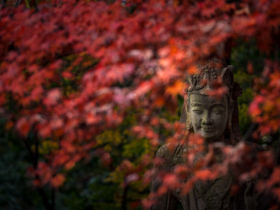 靈隱寺