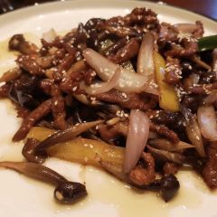 石竹草兔館張用戶圖片