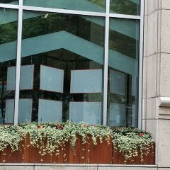 Yu Palace User Photo