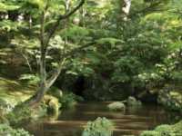 江戶時代大名庭園風格 | 日本旅遊| 兼六園賞夜景
