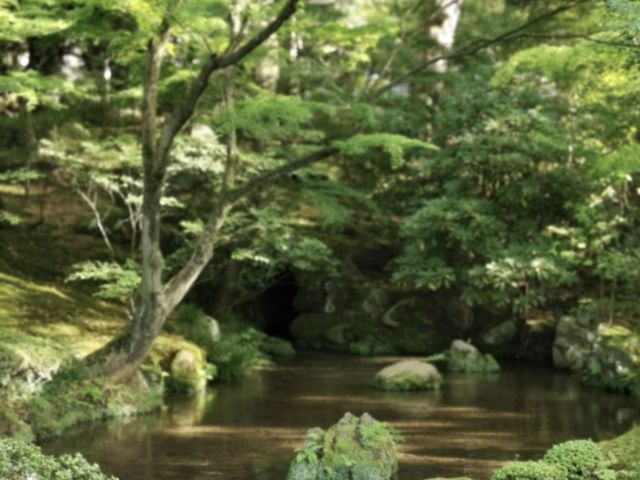江戶時代大名庭園風格 | 日本旅遊| 兼六園賞夜景