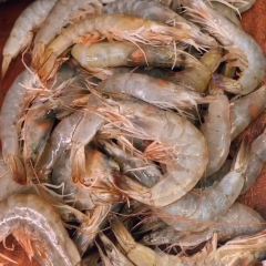 Silverstar Steamboat Restaurant User Photo