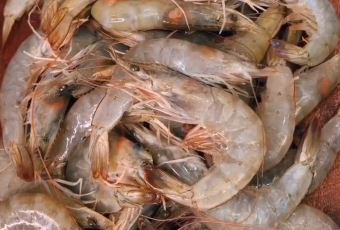 Silverstar Steamboat Restaurant User Photo