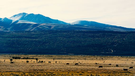 庫克山徒步一日遊-2-7人小團-皇后鎮酒店接送【中文導遊】
