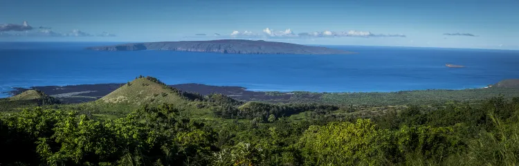 Vé máy bay Kushiro Auckland