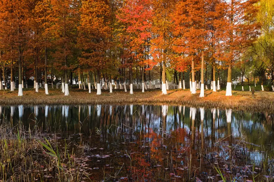 Huaqiaocheng Ecology Art Park