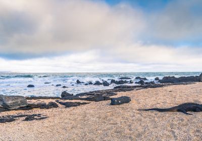 イサベラ島