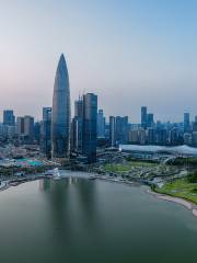 Shenzhen Bay Sports Center Stadium