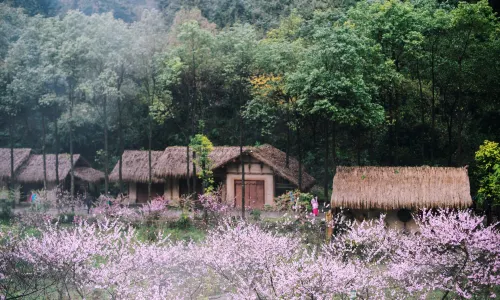 Taohuayuan Scenic Spot Youyang