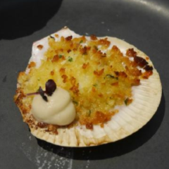 Tipo 00張用戶圖片