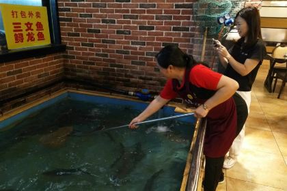 醉美东江·三文鱼