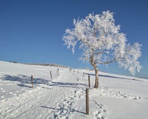 香港-弗賴堡 機票酒店 自由行