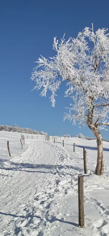 Hoteles Super 8 en Friburgo de Brisgovia