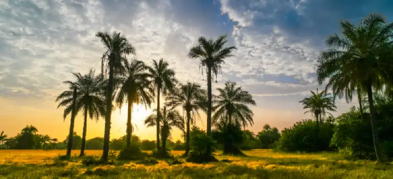 Hotel Dengan Wifi di Guinea-Bissau