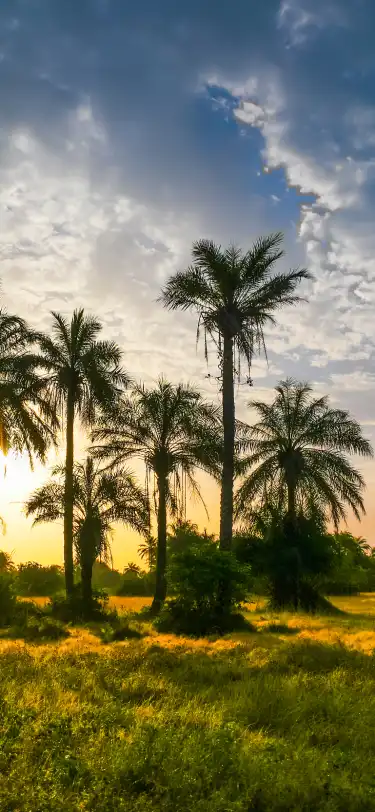 Hotels With Spa in Guinea-bissau