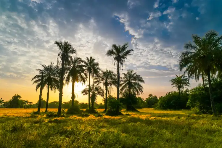Hotels With Pools in Guinea-bissau
