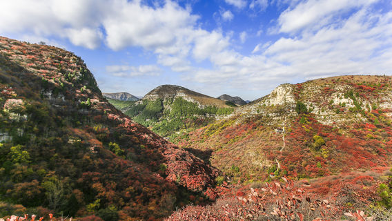 Yishui