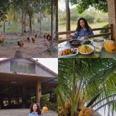 XINGLONG CHARACTERISTIC LEISURE FARM User Photo