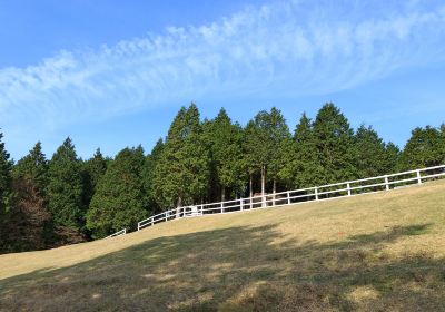 神户市立六甲山牧場