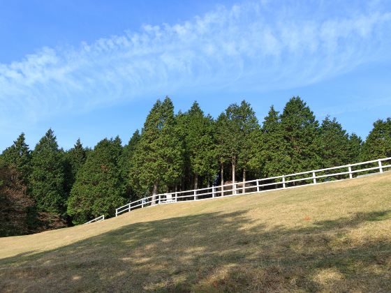 神戸市立六甲山牧場