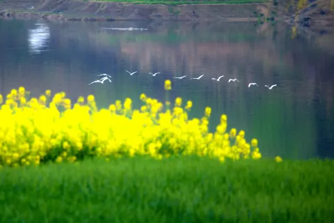 Yinhu Lake Scenic Spot