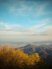 야히코산