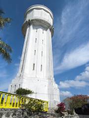 The Water Tower