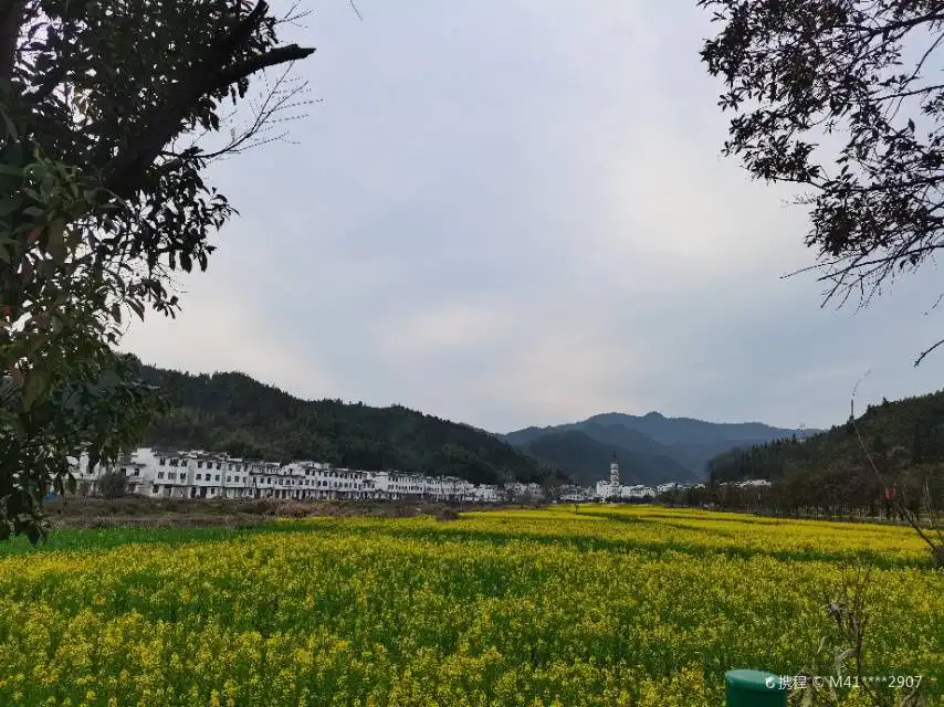 茶坑周辺のホテル